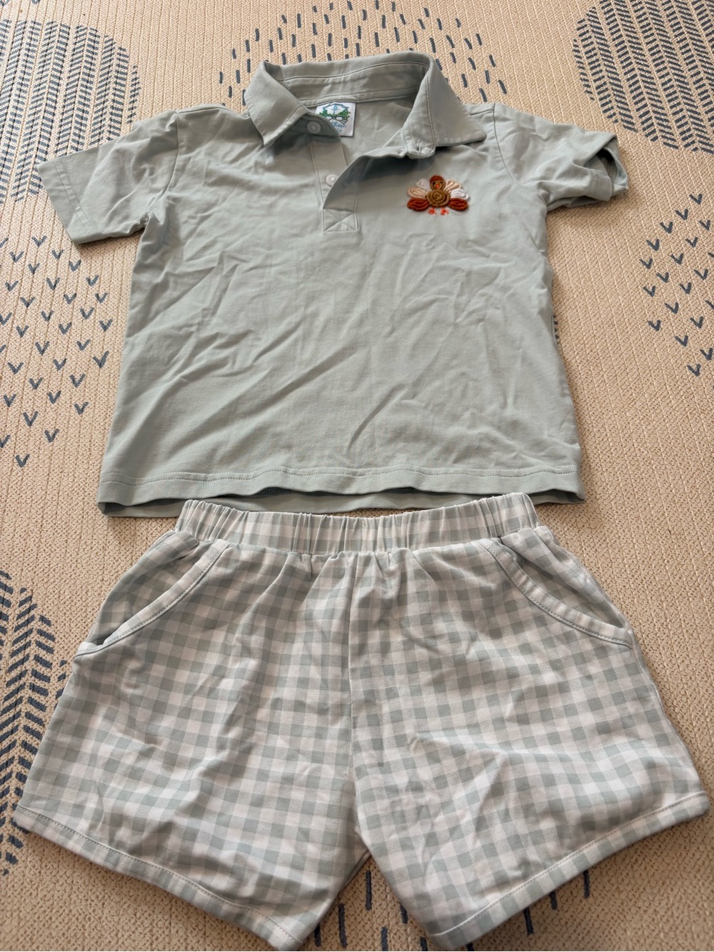 Kids Sage Green Polo Thanksgiving Turkey Set with Gingham Shorts